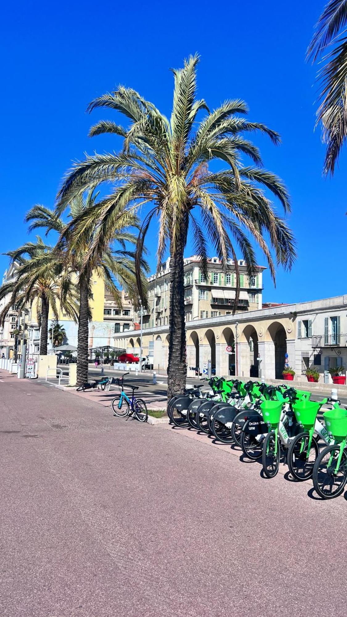 L'Opera Daire Nice Dış mekan fotoğraf